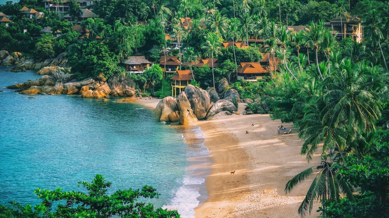 Where to Stay in Koh Samui: North vs. South Coast