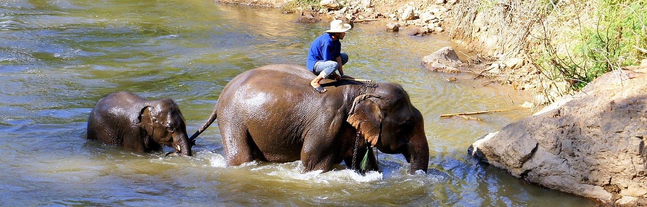 Chiang Mai With a Twist: Unique Experiences Beyond the Guidebooks